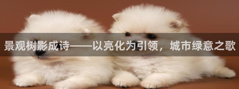 天顺娱乐思 66 6