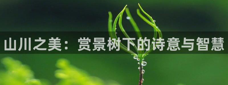 天顺娱乐好72182