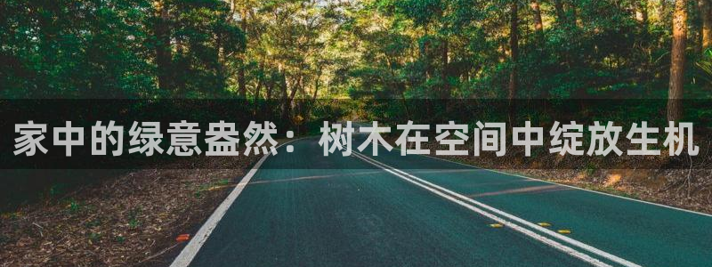 天顺娱乐出46 99系