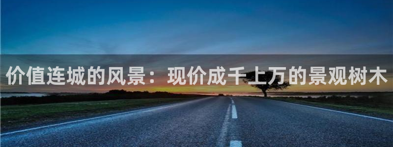 天顺娱乐重33300j