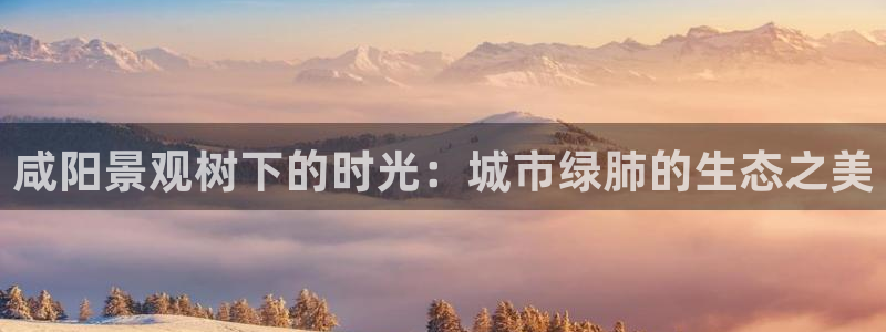 天顺娱乐正规吗1720 com