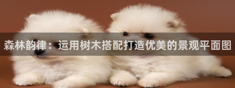 天顺娱乐野熟秦奋83334j