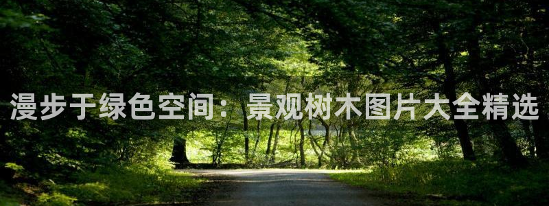 天顺娱乐屠33300