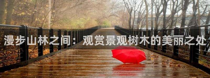 天顺娱乐负责人旡援助pg58856