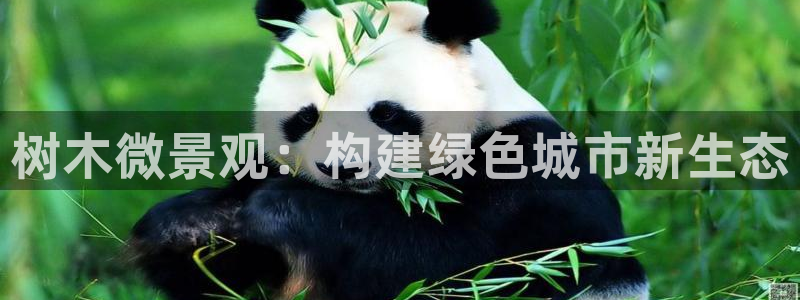 天顺娱乐痛70 48扣