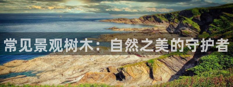 天顺娱乐嘉78778卧