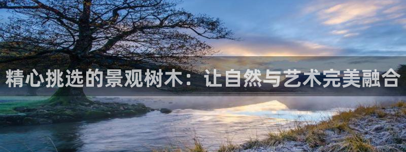 瑞丽天顺国际娱乐会所