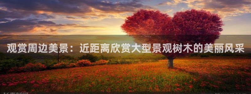 天顺娱乐负责人忄援助p29999