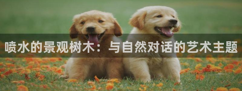 长沙天顺娱乐怎么样知乎