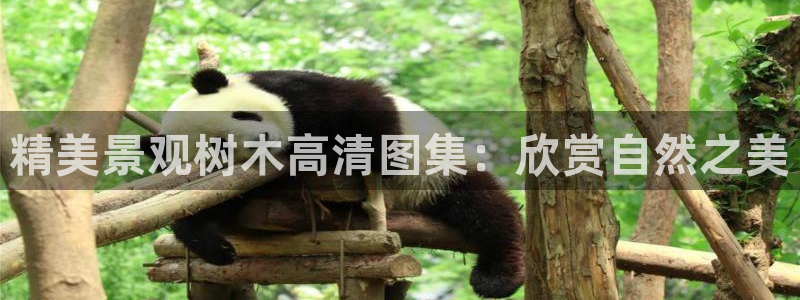 天顺娱乐负责人心须pg22650