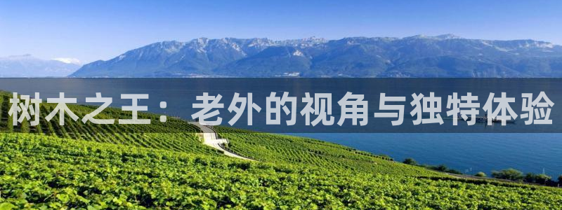 天顺娱乐注册注意 79270k