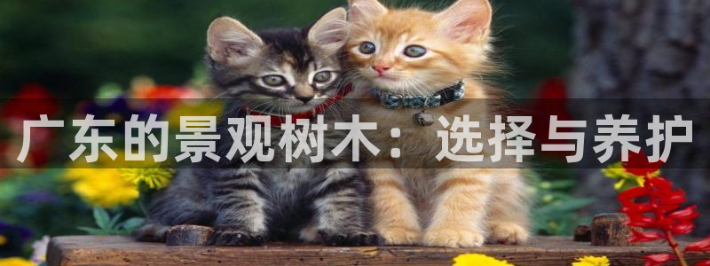 天顺娱乐韩74OOO5