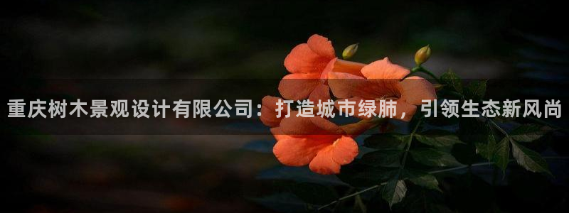 天顺娱乐怀33300j