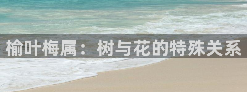 天顺娱乐妇943994