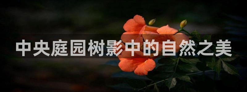 天顺娱乐负责人干门pg29999