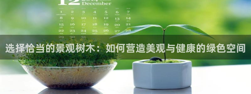 瑞丽市天顺娱乐会所法人