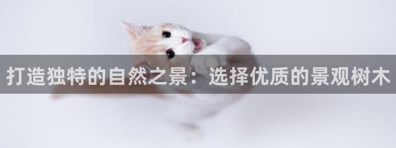 天顺娱乐招商乱判官333OO