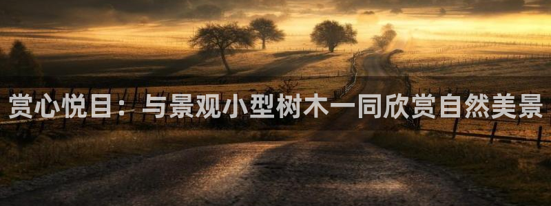 天顺娱乐a 内57661部