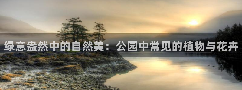 天顺娱乐高33300