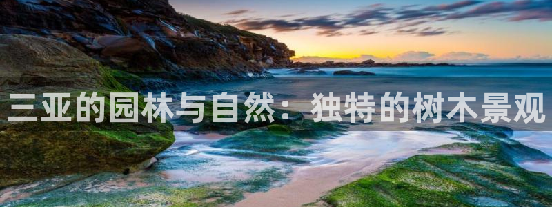 天顺娱乐号72 559:三亚的园林与自然:独特的树木景观