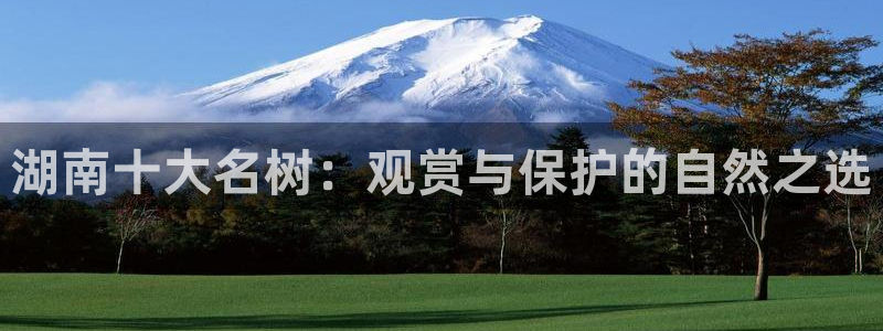 天顺娱乐登陆地址