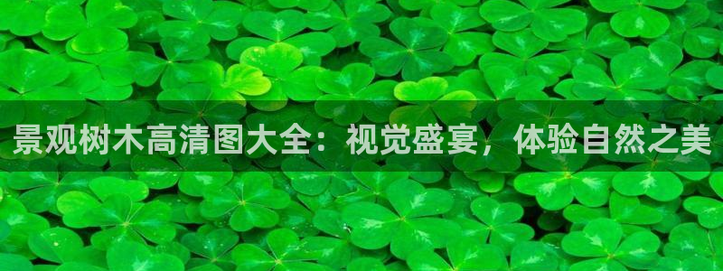 天顺休闲娱乐中心:景观树木高清图大全:视觉盛宴,体验自然之美