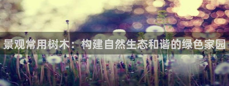 天顺娱乐拙70 48