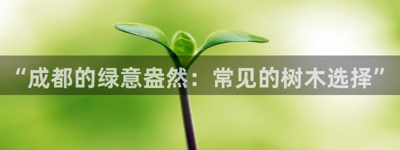 天顺娱乐负责人龠连pg29999