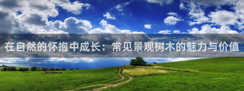 玛雅集团天顺娱乐怎么:在自然的怀抱中成长:常见景观树木的魅力与价值