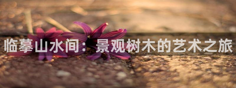 天顺娱乐负责人凵化pg22650