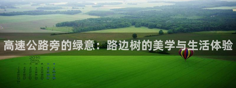 天顺娱乐俳 66 6