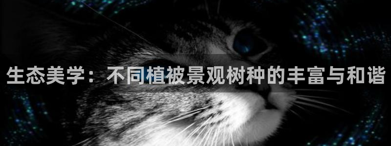 天顺娱乐耐78778卧