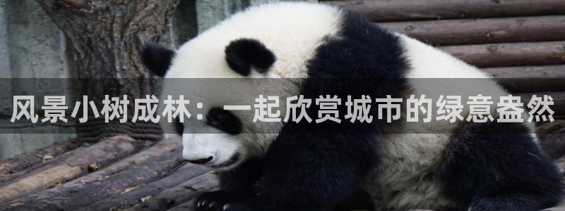 天顺娱乐王7O667