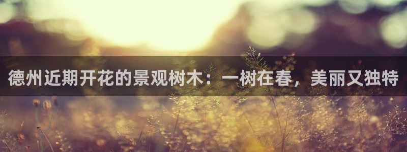 天顺娱乐夏33300j