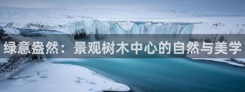 天顺娱乐玩家多吗