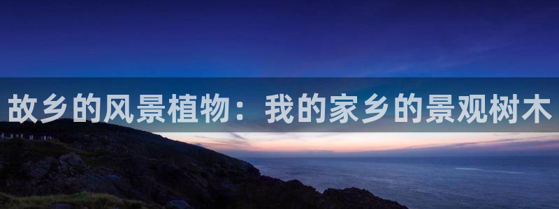 天顺娱乐丶金手指科捷5